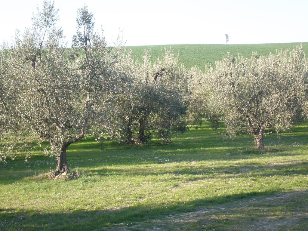 Locanda La Gozzetta Santa Luce Exterior photo
